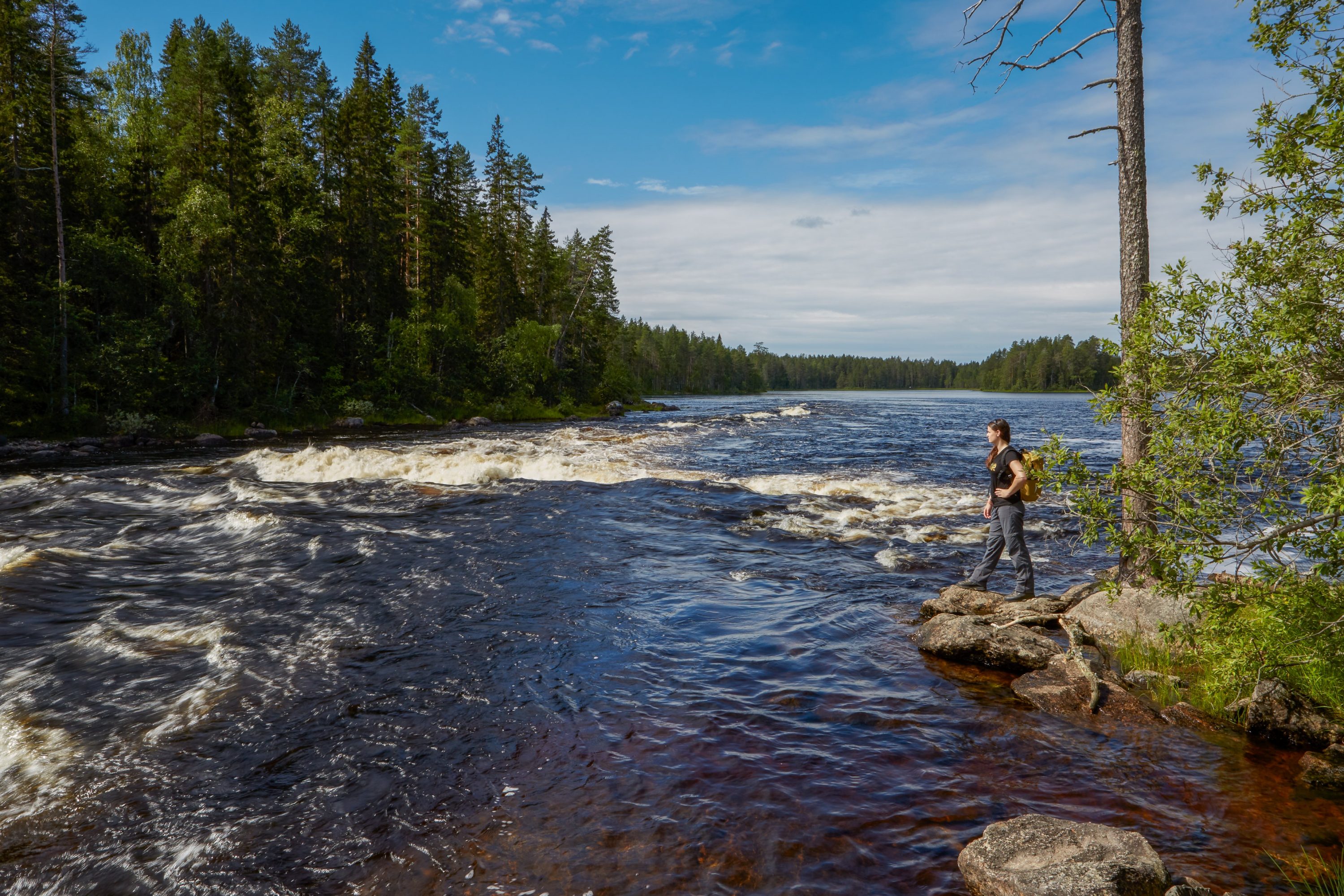 Ruunaa Rapids