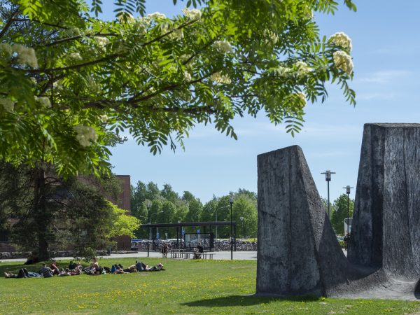 Itä-Suomen yliopisto, Joensuun kampus