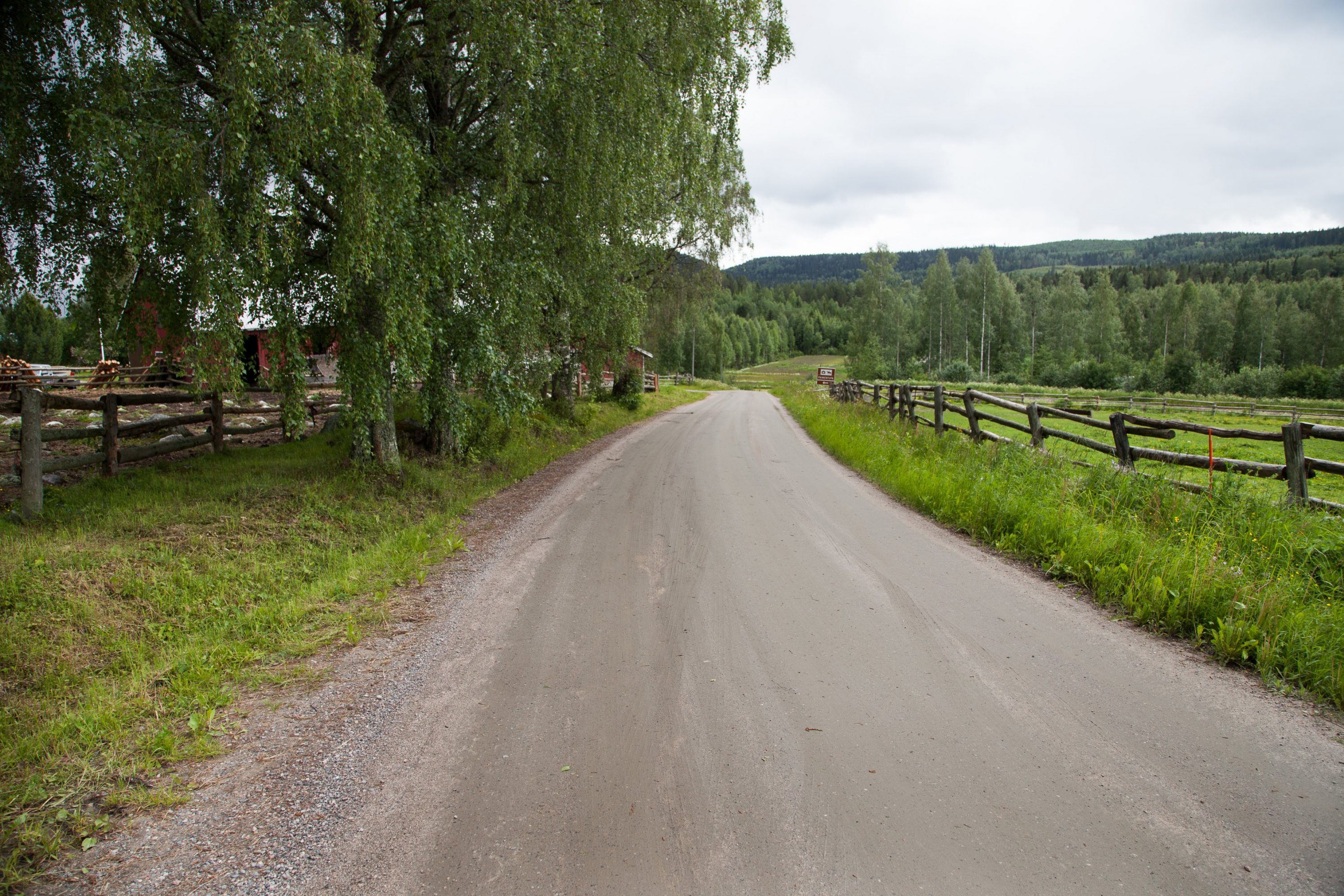 Koli Gravel Carnival pyöräilytapahtuma