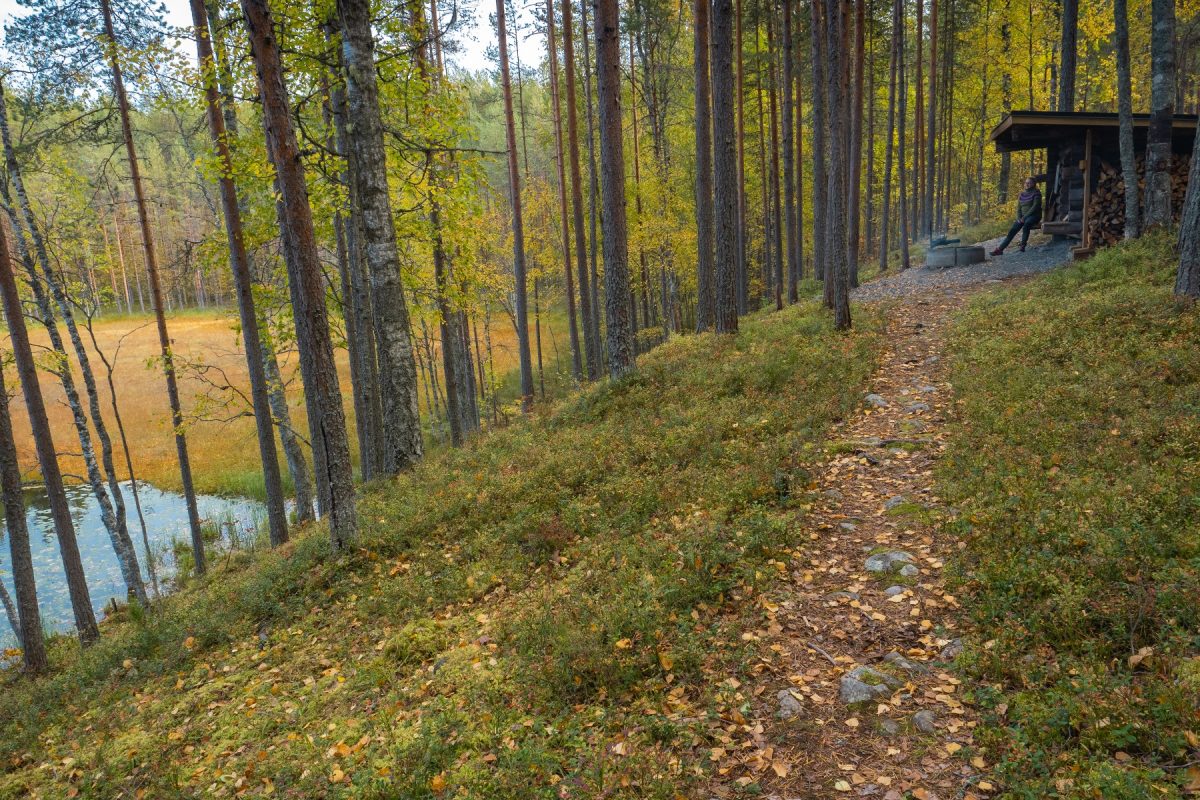 Heinälampi Trail, Liperin Kinttupolut – VisitKarelia