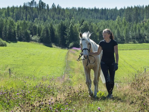 Nainen ja hevonen pellolla