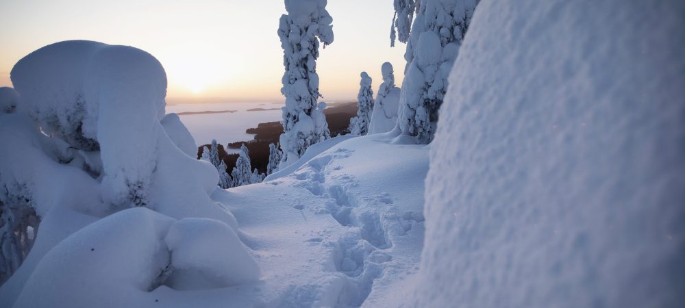 Lumikenkien jäljet lumessa Kolin huipulla