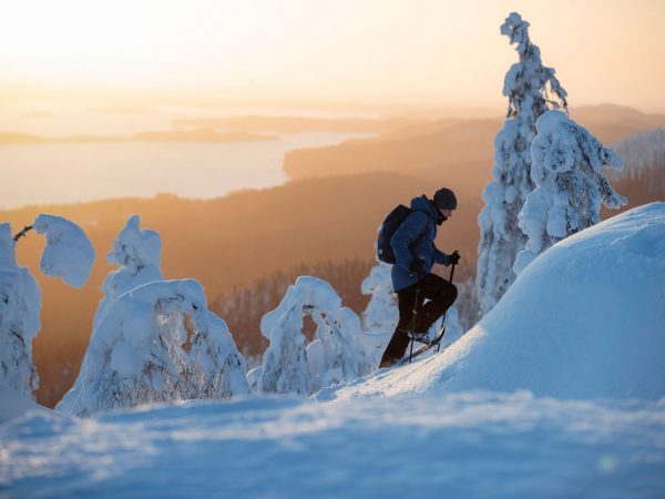 Lumikenkäilijä kiipeämässä Kolin huipulle