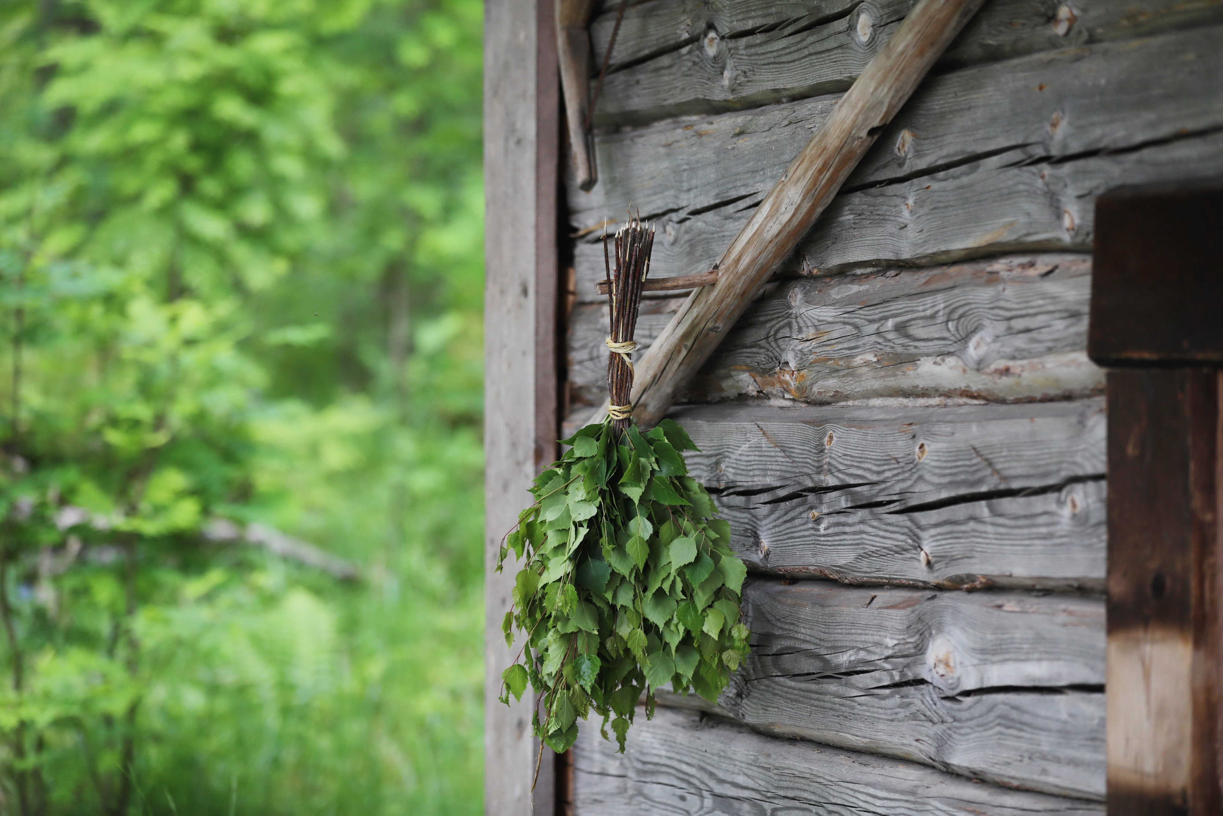 Experience Finnish Sauna in North Karelia | VisitKarelia