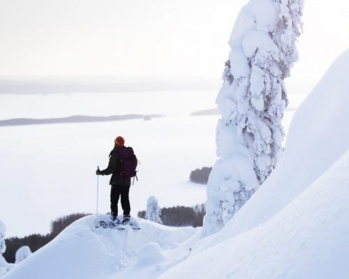 https://www.visitkarelia.fi/files/vk-harri-tarvainen-wintertrip3-jpg-1-e1736766254872.jpg